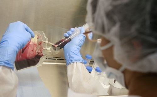 To match feature COSTARICA-STEMCELLS/