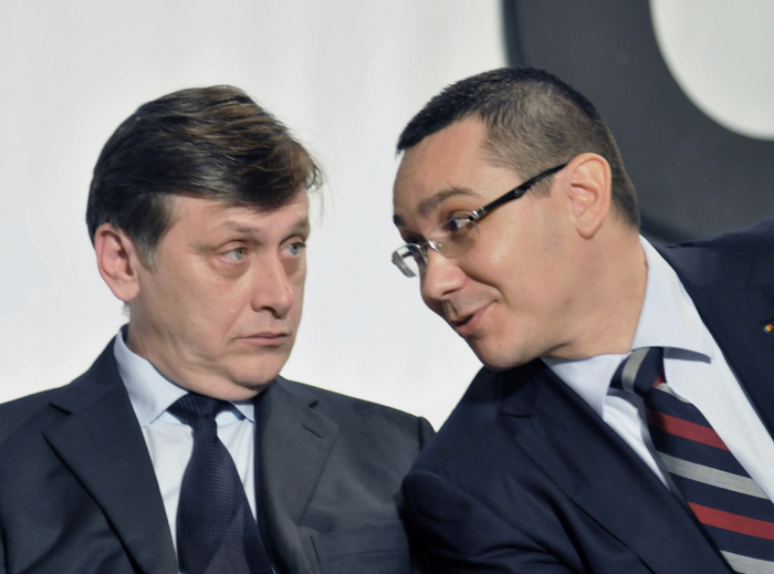 crin ponta