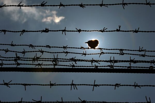 sarma penitenciar