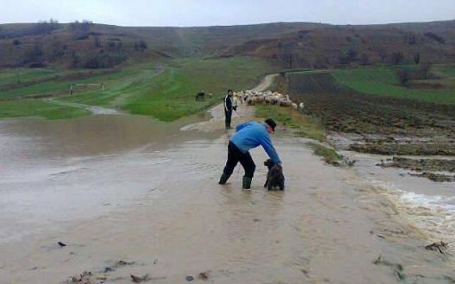 inundatii mischi