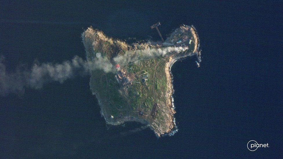 insula