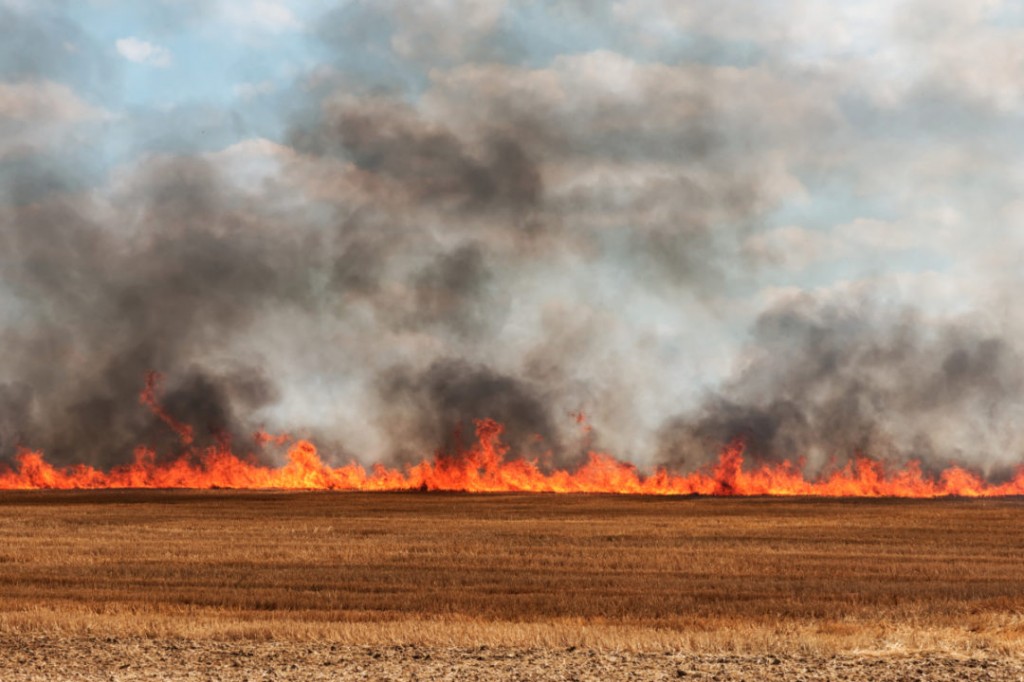 recolte incendiu