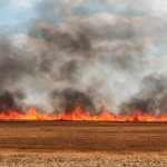 recolte incendiu