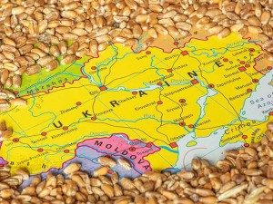 1-cereale-ucraina-186620588-l